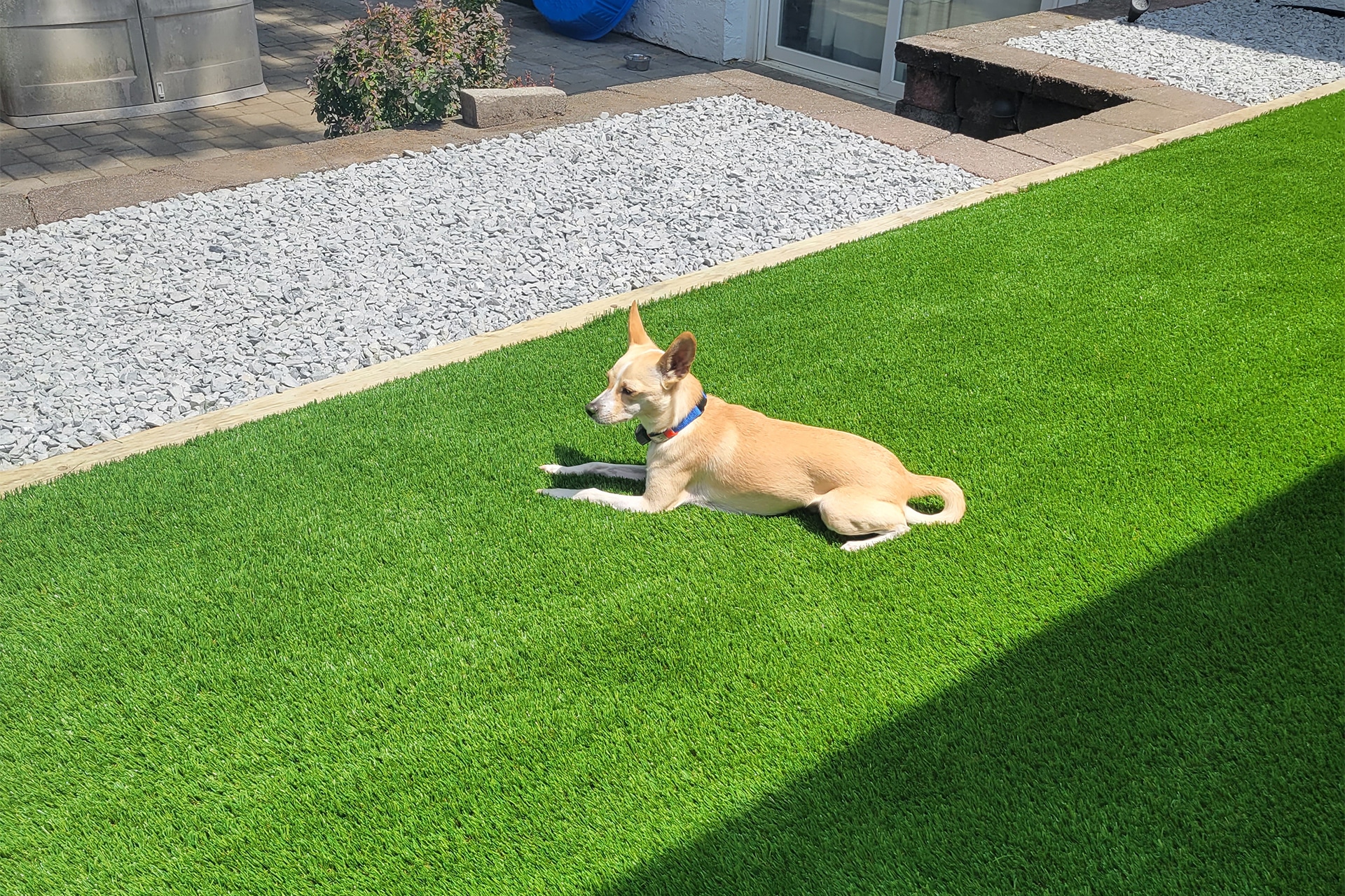 Pet Turf Installation